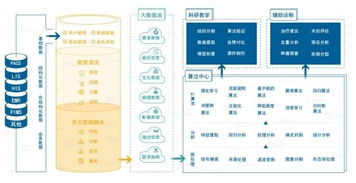雅森科技陳暉 十年求索，探路醫療AI的上海實踐與需求邊界